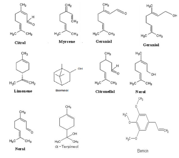 Structure of Phytochemical Constituents of Cymbopogon citratus